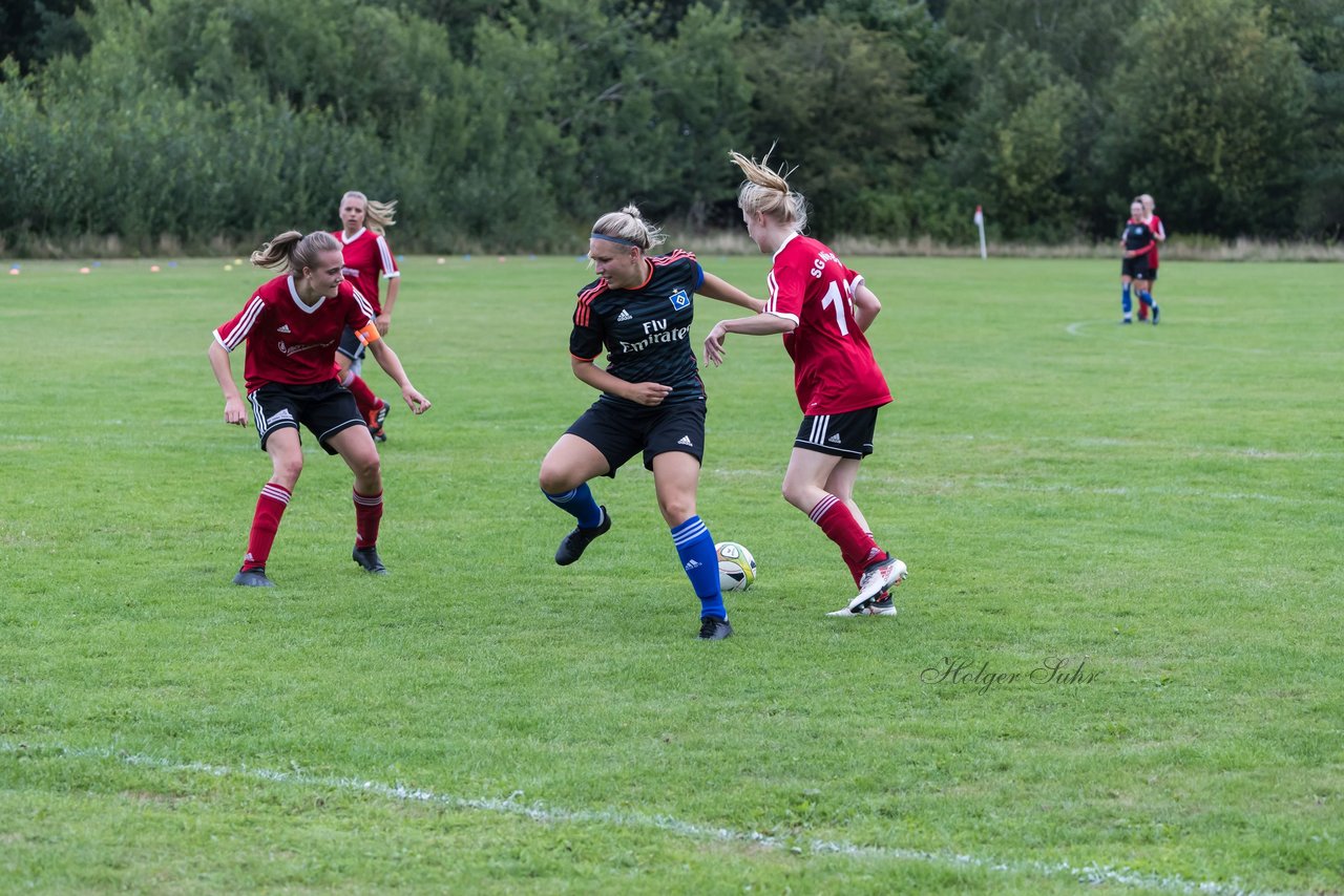 Bild 237 - Frauen SG NieBar - HSV 2 : Ergebnis: 4:3